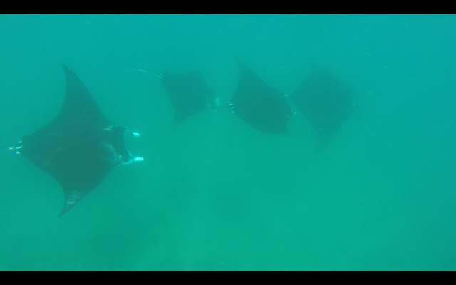 Screen Shot 2018-05-28 at 22.11.30