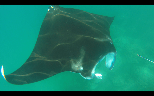 Screen Shot 2018-05-28 at 22.51.00