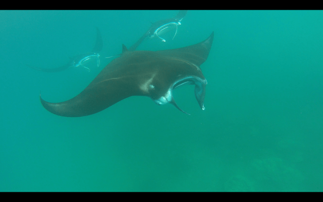 Screen Shot 2018-05-28 at 22.52.46