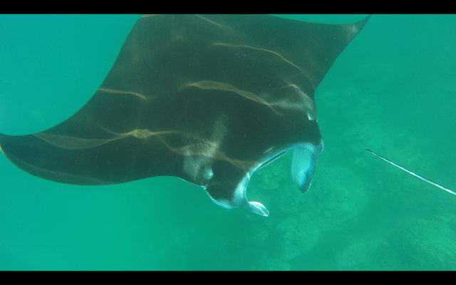 Screen Shot 2018-05-28 at 22.53.06