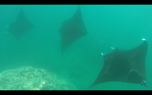 Screen Shot 2018-05-28 at 22.53.56