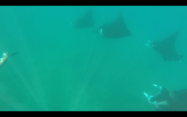 Screen Shot 2018-05-28 at 22.54.39