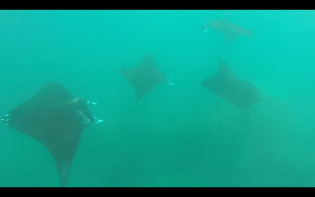 Screen Shot 2018-05-28 at 22.56.00