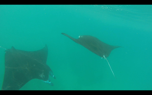 Screen Shot 2018-05-28 at 22.56.21