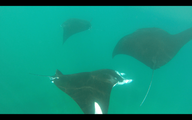 Screen Shot 2018-05-28 at 22.56.37