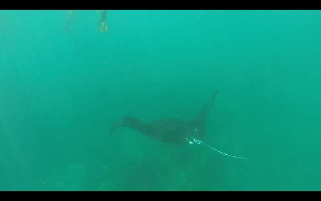 Screen Shot 2018-05-28 at 22.57.13