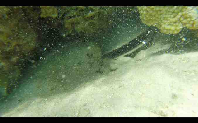 Screen Shot 2018-05-31 at 07.41.45