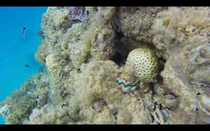 Screen Shot 2018-06-01 at 08.59.59