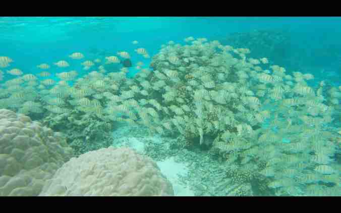 Screen Shot 2018-06-01 at 22.24.04