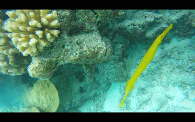 Screen Shot 2018-06-01 at 22.26.19