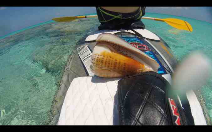 Screen Shot 2018-06-01 at 23.12.20