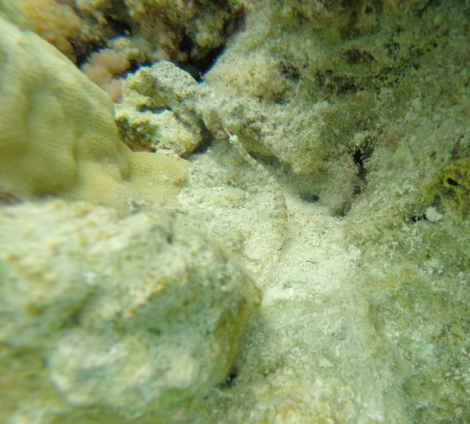 Screen Shot 2018-06-01 at 23.38.33