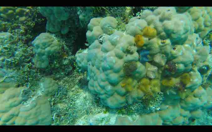 Screen Shot 2018-06-01 at 09.18.49