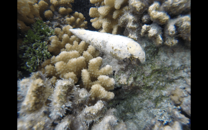 Screen Shot 2018-07-25 at 23.22.17