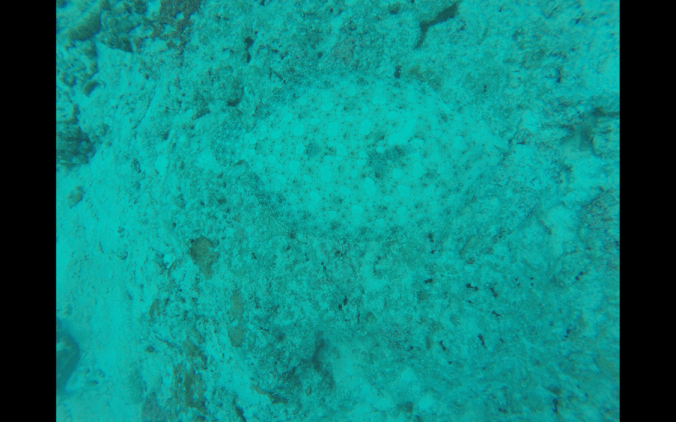 Screen Shot 2018-07-25 at 23.22.33