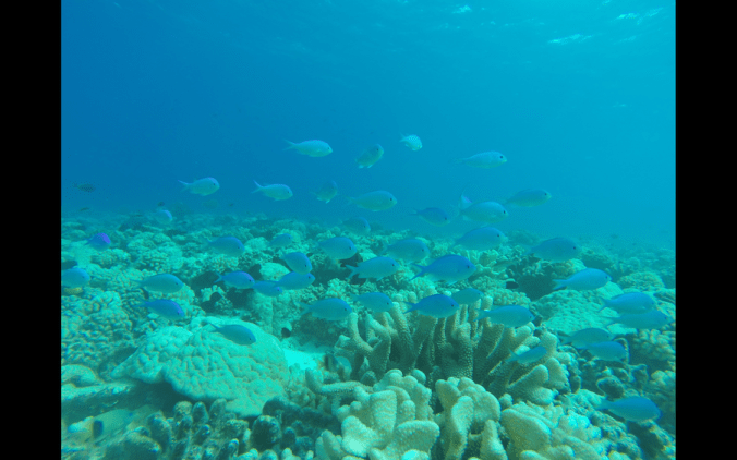 Screen Shot 2018-07-25 at 23.37.37