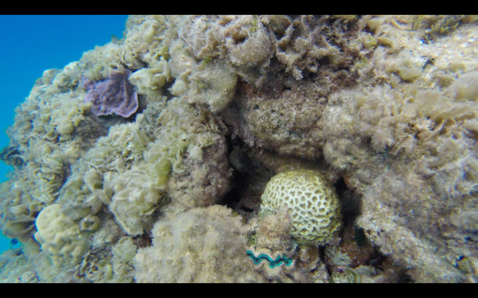 Screen Shot 2018-07-25 at 23.41.18