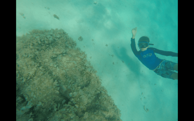 Screen Shot 2018-07-27 at 11.45.59