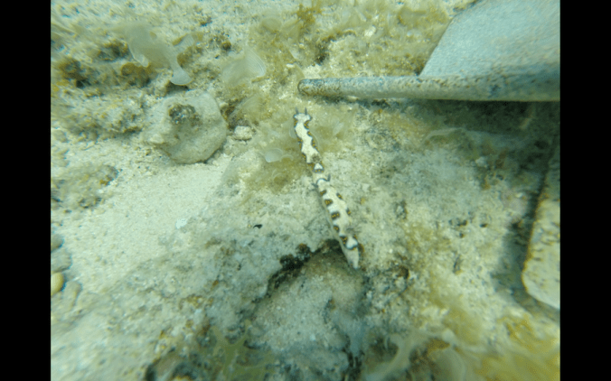 Screen Shot 2018-08-02 at 21.53.43