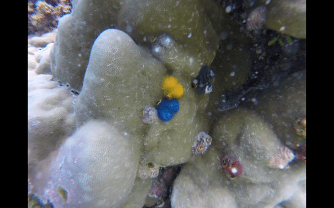 Screen Shot 2018-08-02 at 21.58.19