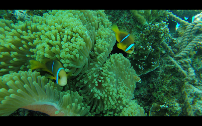 screen shot 2019-01-06 at 21.52.52